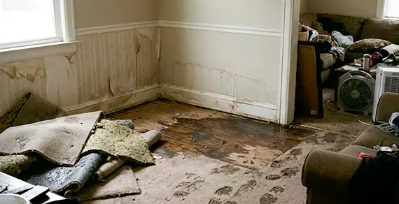 Why Choose Boynton Beach Water Damage Pro For Water Damage Restoration Services in Boynton Beach, FL?